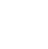 IJsvogel - in vlucht wit IJsvogel - in vlucht wit