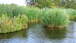 Bovenlanden (Reigersbos)
