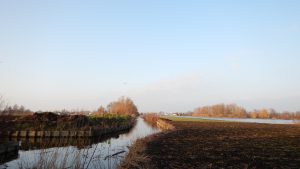 Groene AS fase 1 Project 3 H 1721 1