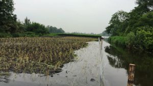 Groene AS fase 1 Project 3 H 1721 18