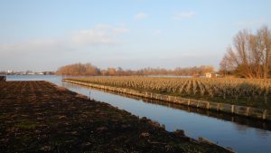 Groene AS fase 1 Project 3 H 1721 22
