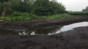 Groene AS fase 1 Project 3 H 1721 8