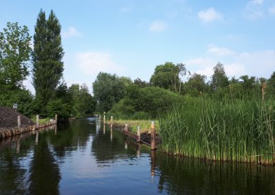 Groene AS Aalsmeer fase 1 – project 7