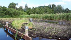 Groene AS fase 1 Project 7 H 0215 5