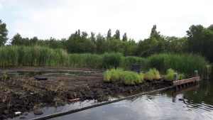 Groene AS fase 1 Project 7 H 0215 6