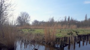 Groene AS fase 1 Project 7 H 0215 9