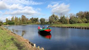 baardseakker (4)