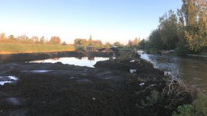 baardseakker krw II