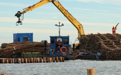 Reigersbos wordt rijk aan onderwaterleven