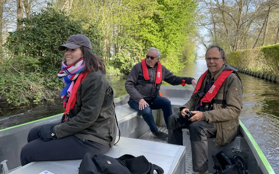 Dotterbloemen tellen in de Bovenlanden