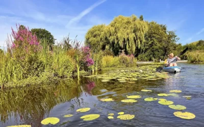 Fondsenwerving 2025-2026