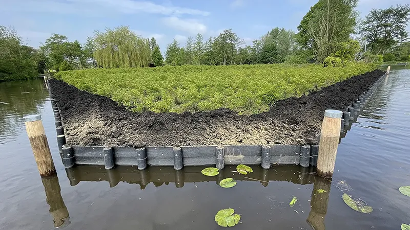 bovenlanden aalsmeer – project – Teelakkers 001 – header bovenlanden aalsmeer - project - Teelakkers