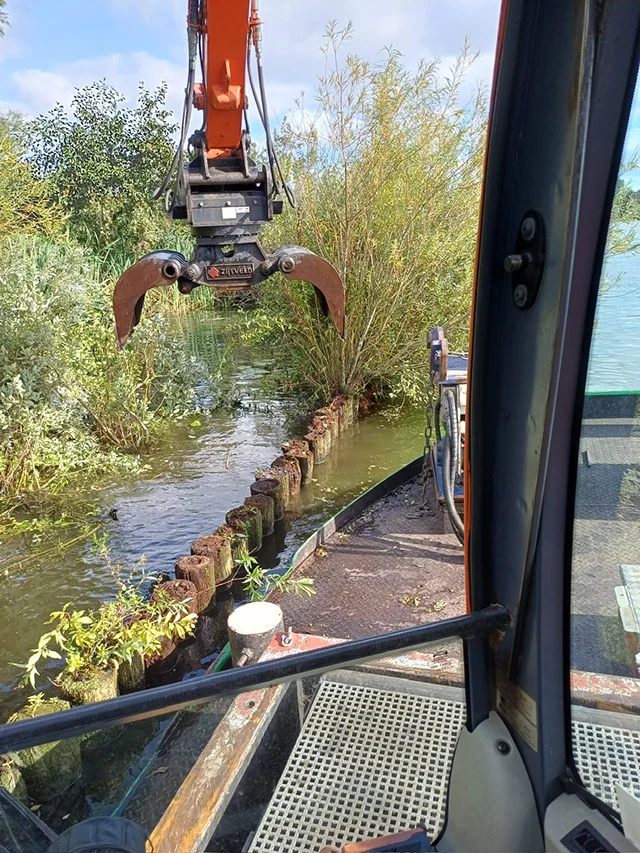 Ecologische opwaardering Reigersbos 5 sBA - Reigersbos - Ecologische opwaardering - Begroeiing verwijderen