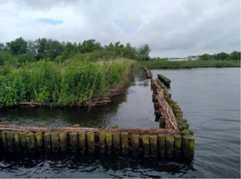 Ecologische opwaardering Reigersbos 2 sBA - Reigersbos - Ecologische opwaardering - Begroeiing wiepenstructuur